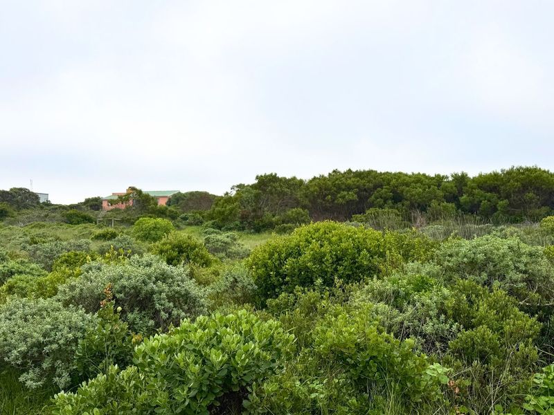 Vacant Land Residential For Sale in Kleinbaai - Photo 8