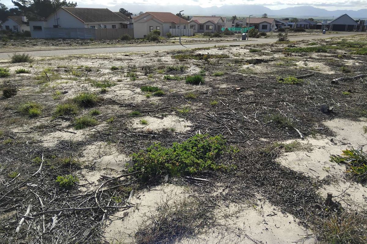 Vacant Land Residential For Sale in Albertinia Central - Photo 5