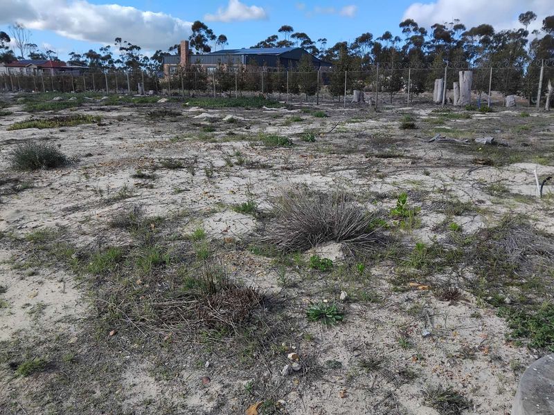 Vacant Land Residential For Sale in Albertinia Central - Photo 1