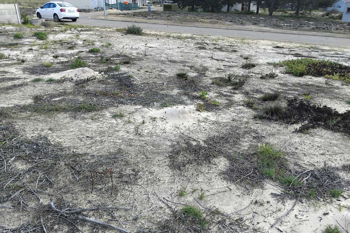 Vacant Land Residential For Sale in Albertinia Central - Photo 4