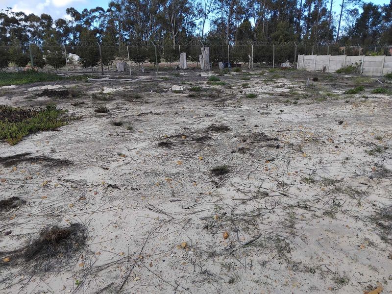 Vacant Land Residential For Sale in Albertinia Central - Photo 3
