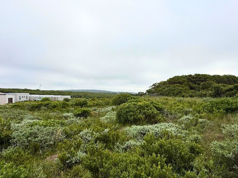 Vacant Land Residential For Sale in Kleinbaai - Photo 3