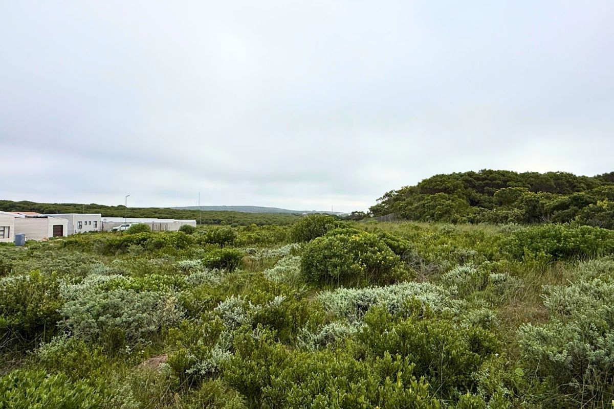 Vacant Land Residential For Sale in Kleinbaai - Photo 3