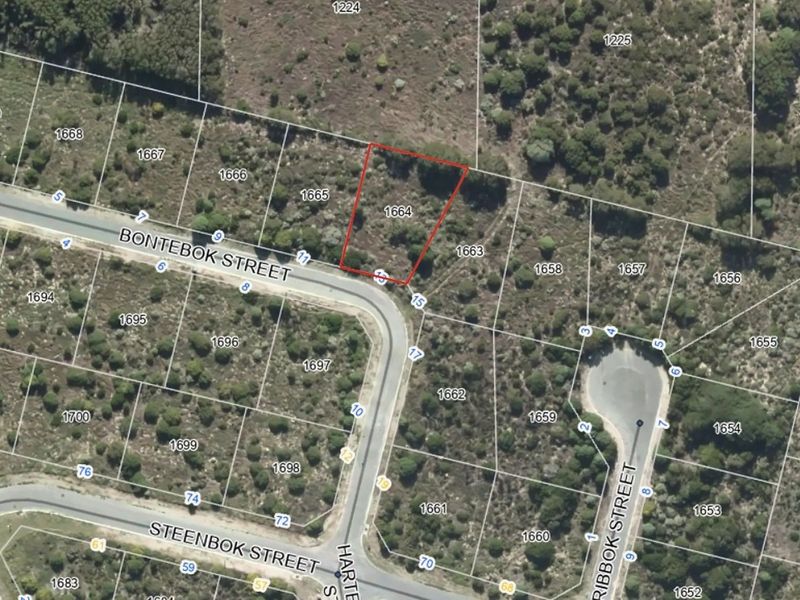 Vacant Land Residential For Sale in Kleinbaai - Photo 7