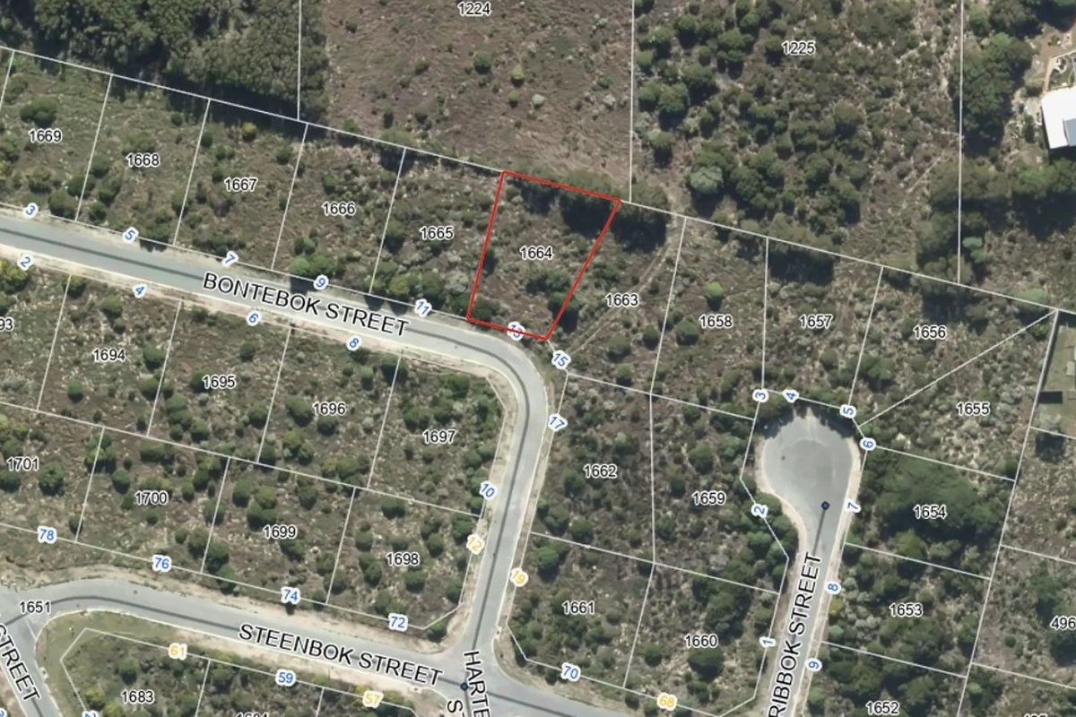 Aerial view of vacant residential plot 1664, situated in a quiet street with established surrounding vegetation.