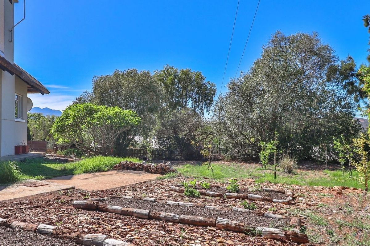 A rear garden area featuring a concrete patio section, established trees, and raised garden beds with timber edging.