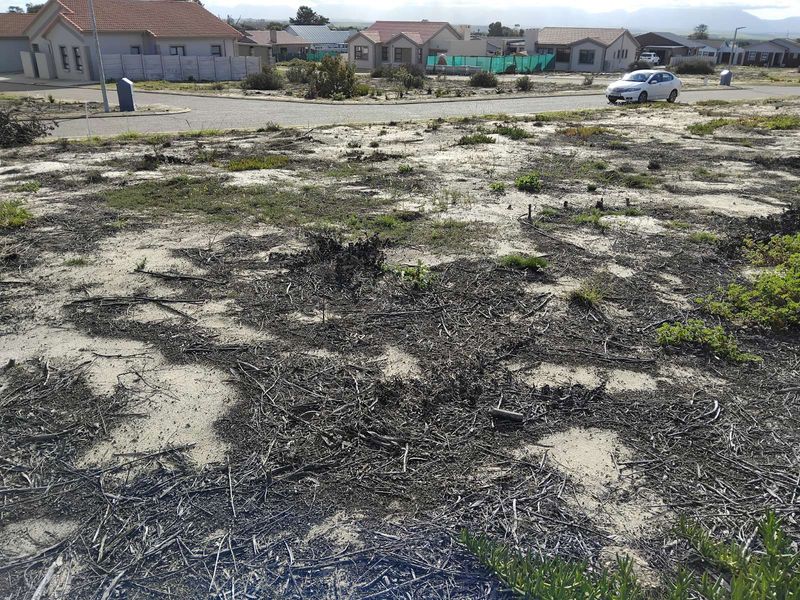 Vacant Land Residential For Sale in Albertinia Central - Photo 2