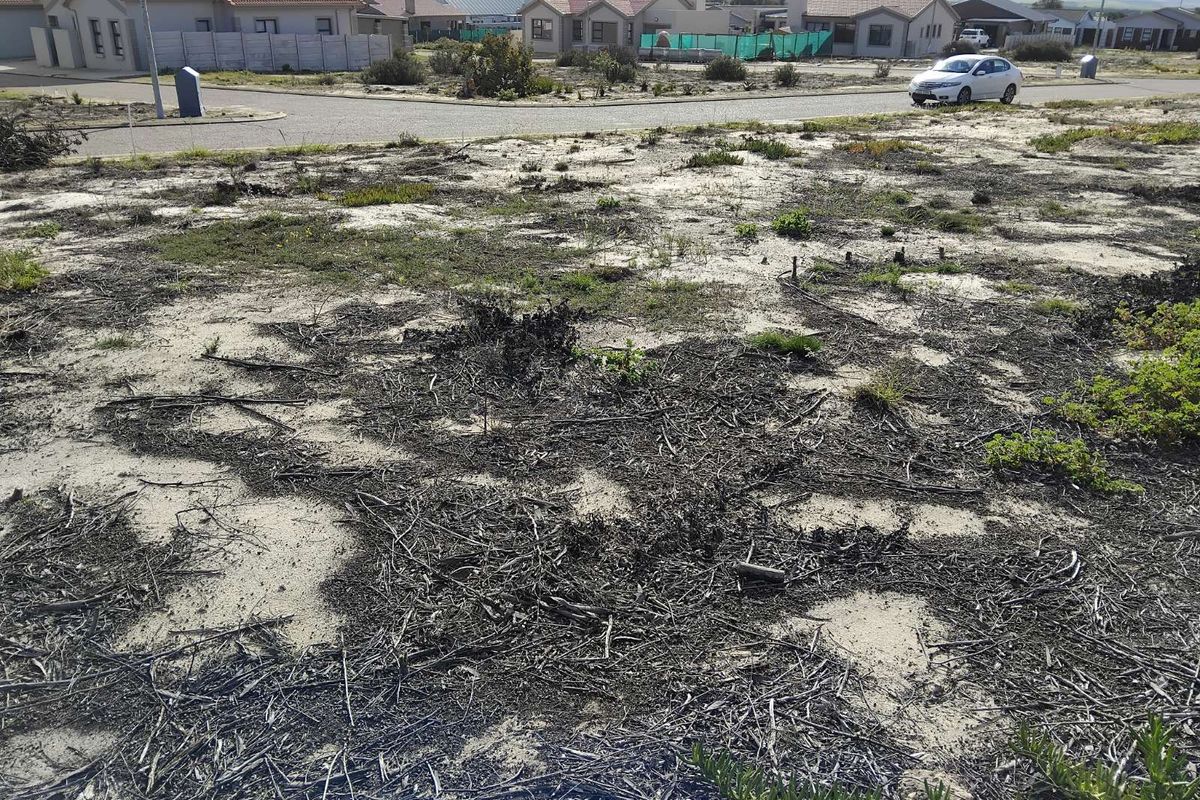 Vacant Land Residential For Sale in Albertinia Central - Photo 2