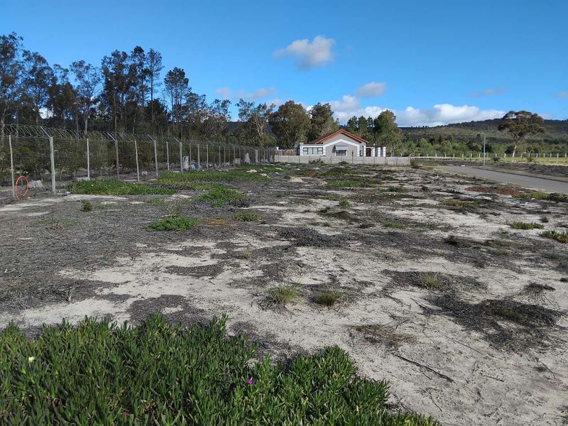 Vacant Land Residential For Sale in Albertinia Central - Photo 3