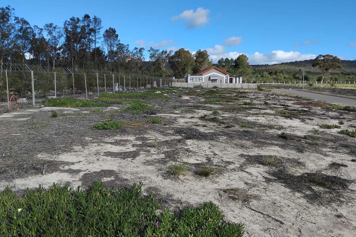 Vacant Land Residential For Sale in Albertinia Central - Photo 3