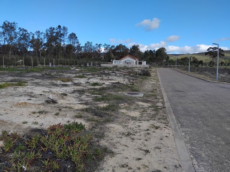 Vacant Land Residential For Sale in Albertinia Central - Photo 4