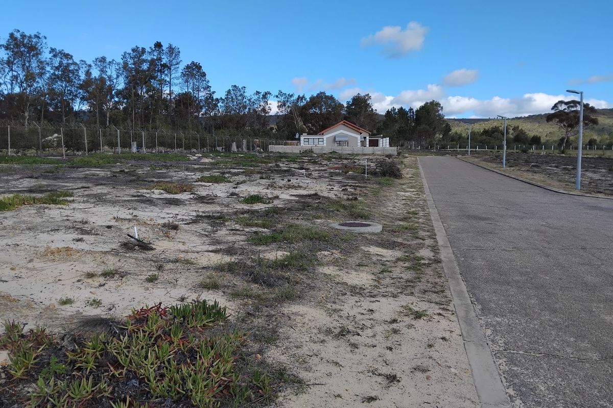 Vacant Land Residential For Sale in Albertinia Central - Photo 4