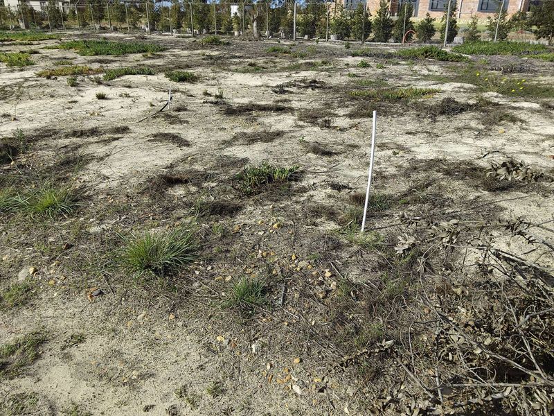 Vacant Land Residential For Sale in Albertinia Central - Photo 1