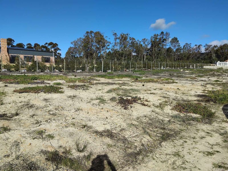 Vacant Land Residential For Sale in Albertinia Central - Photo 1