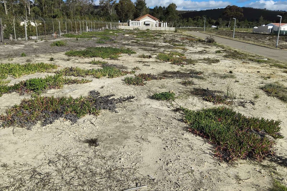Vacant Land Residential For Sale in Albertinia Central - Photo 2