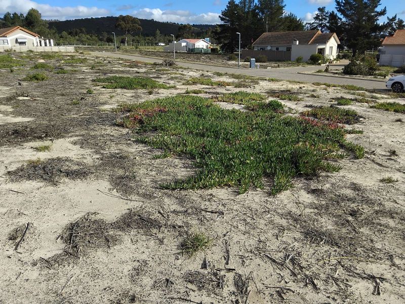 Vacant Land Residential For Sale in Albertinia Central - Photo 3