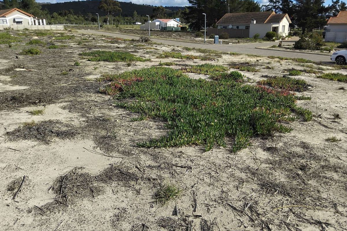 Vacant Land Residential For Sale in Albertinia Central - Photo 3