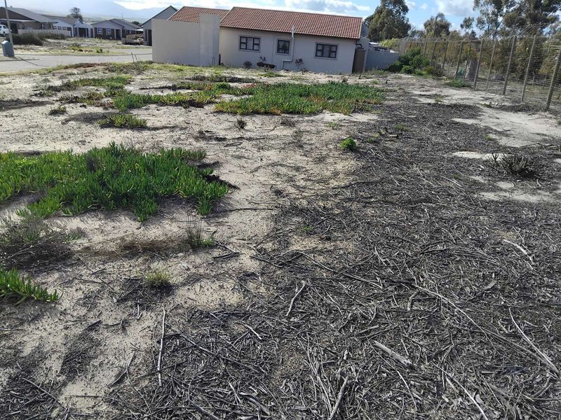 Vacant Land Residential For Sale in Albertinia Central - Photo 4