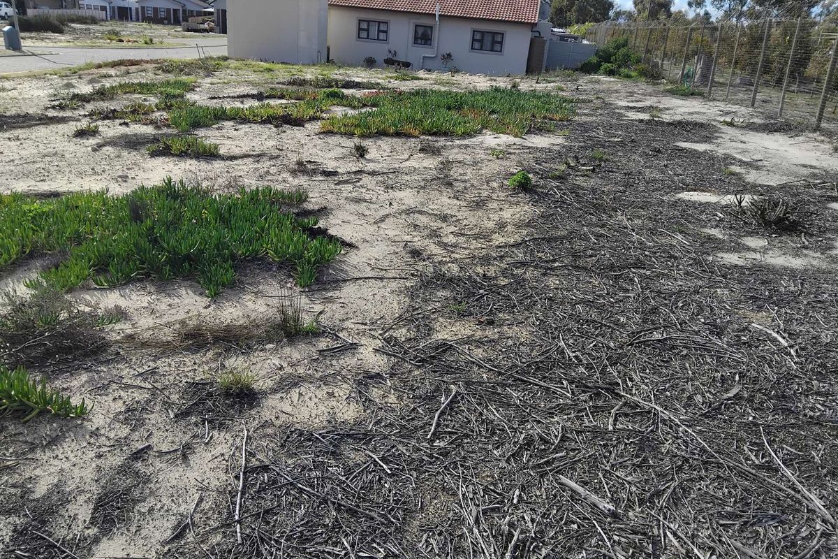 Vacant Land Residential For Sale in Albertinia Central - Photo 4