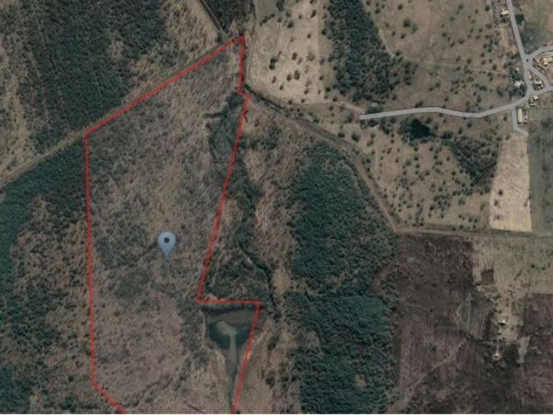 Farm For Sale in Albert Falls - Photo 1