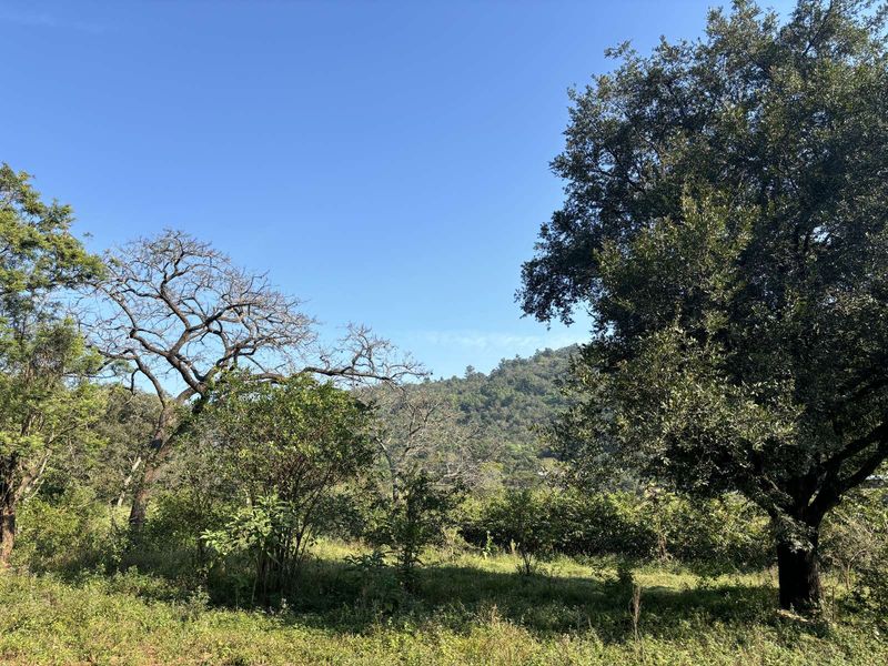 Vacant Land Residential For Sale in Broederstroomdrift AH - Photo 8