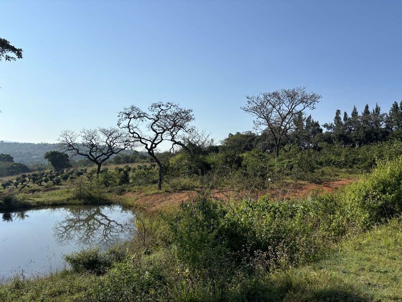 Vacant Land Residential For Sale in Broederstroomdrift AH - Photo 3
