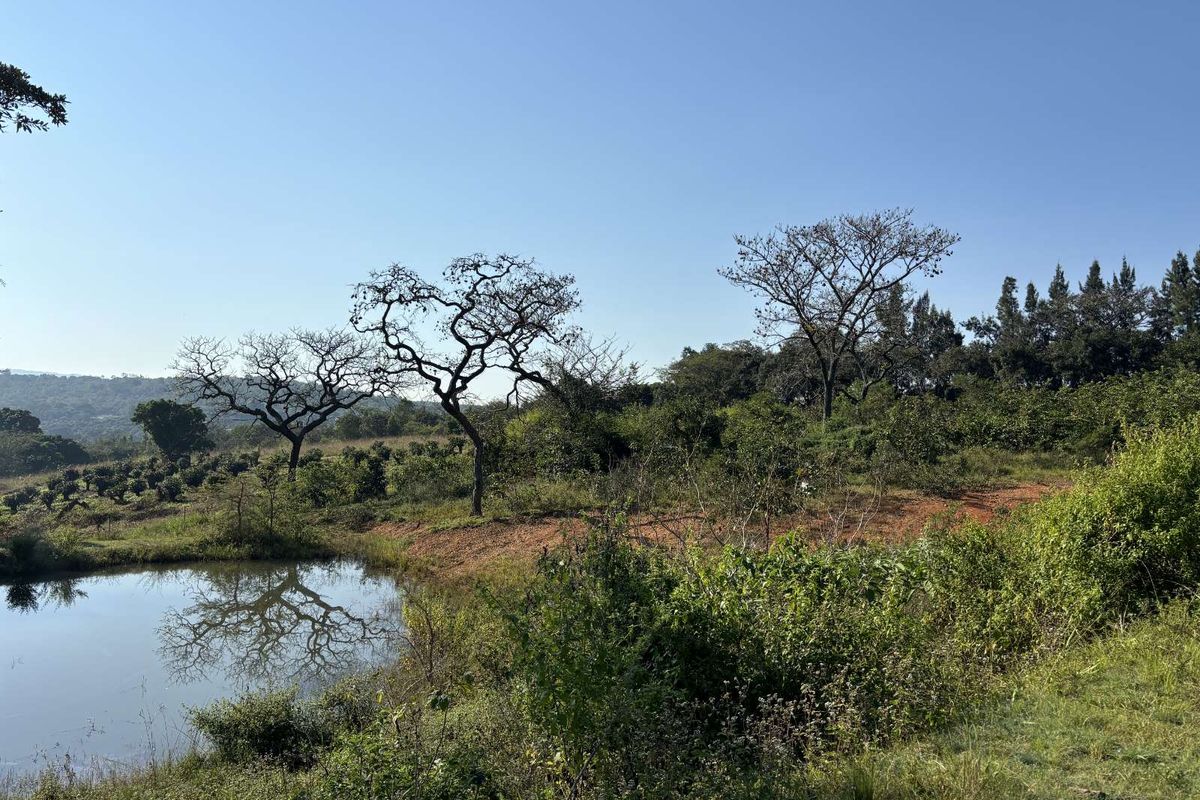 Vacant Land Residential For Sale in Broederstroomdrift AH - Photo 3