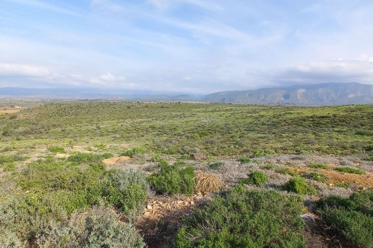 Farm For Sale in Calitzdorp Rural - Photo 3