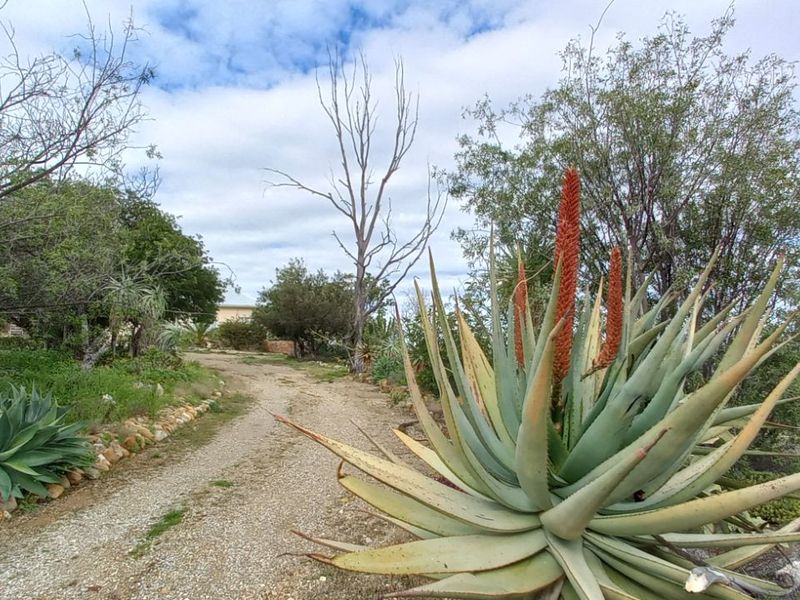 House For Sale in Calitzdorp Central - Photo 2