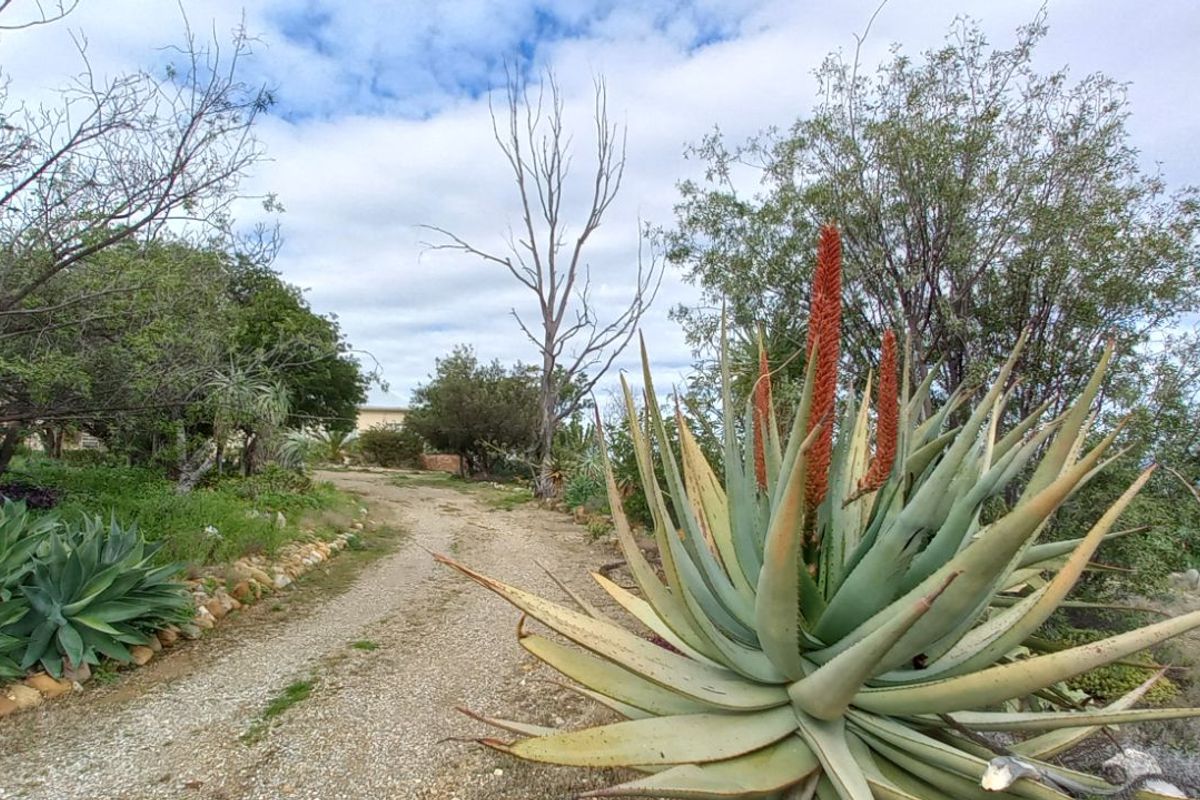 House For Sale in Calitzdorp Central - Photo 2