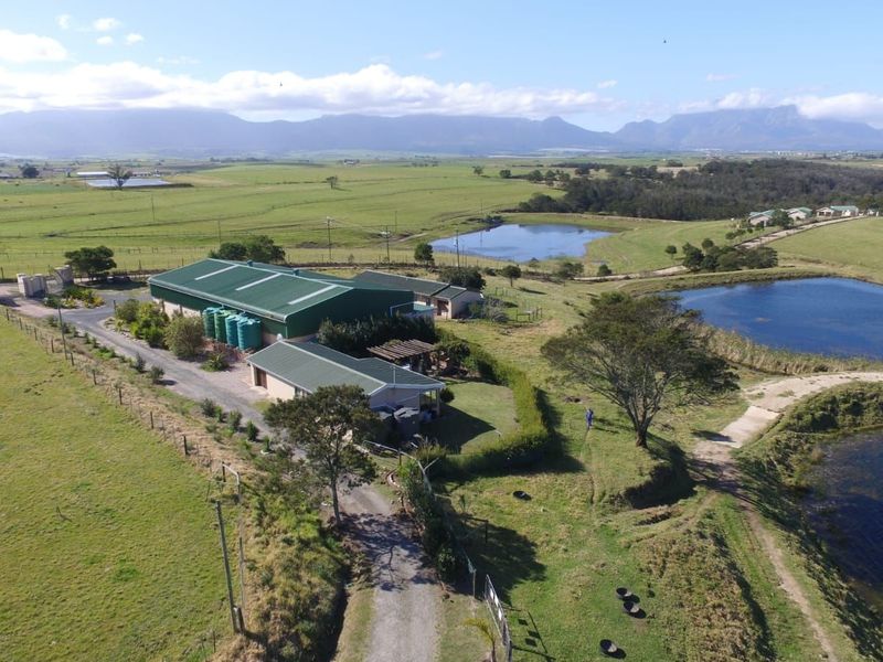 Farm For Sale in Glentana - Photo 9