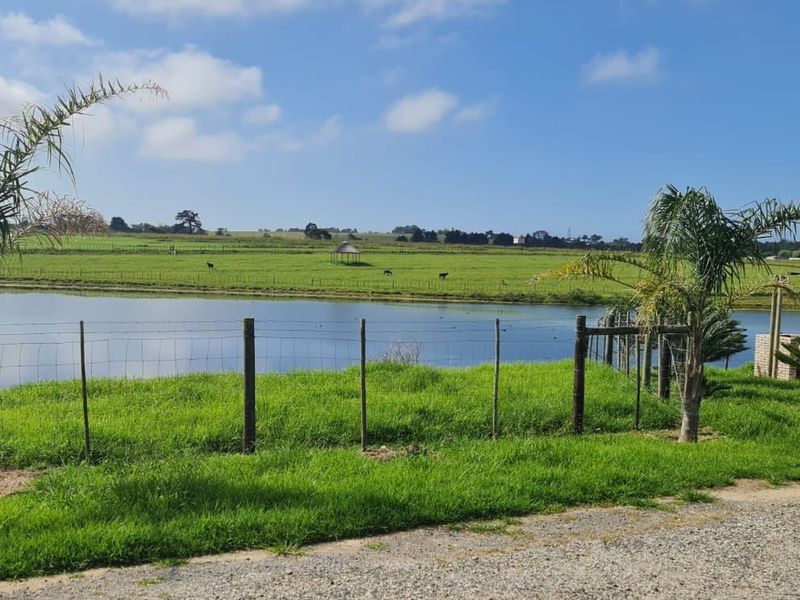 Farm For Sale in Glentana - Photo 5