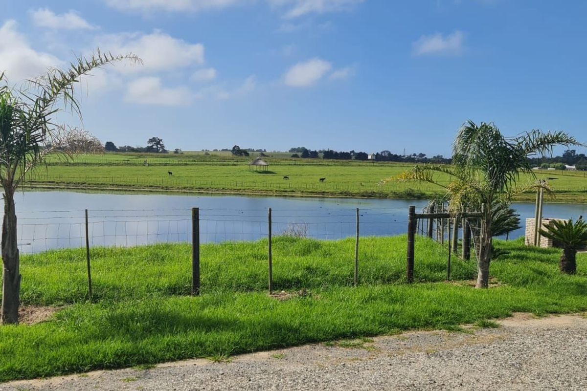 Farm For Sale in Glentana - Photo 5