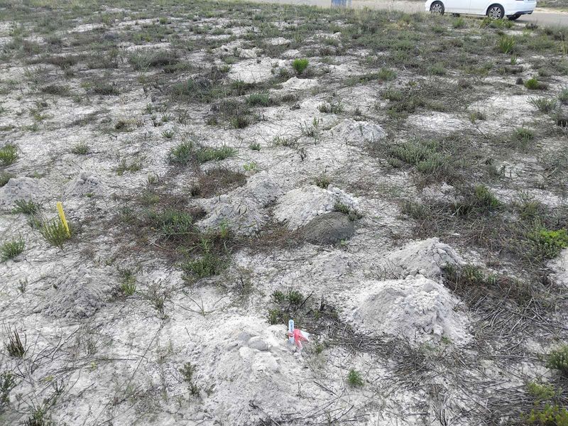 Vacant Land Residential For Sale in Albertinia Central - Photo 4