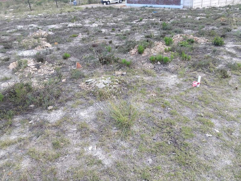 Vacant Land Residential For Sale in Albertinia Central - Photo 5