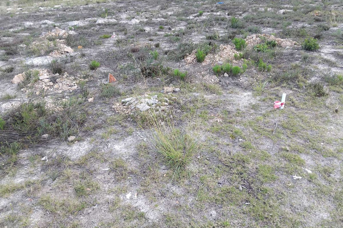 Vacant Land Residential For Sale in Albertinia Central - Photo 5