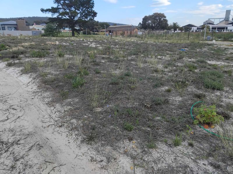 Vacant Land Residential For Sale in Albertinia Central - Photo 1