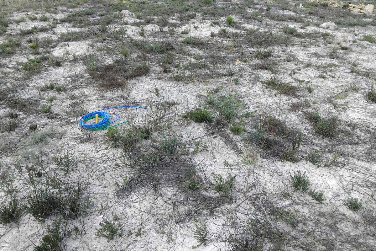 Vacant Land Residential For Sale in Albertinia Central - Photo 3