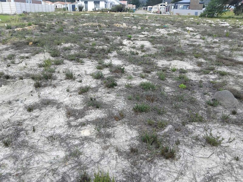 Vacant Land Residential For Sale in Albertinia Central - Photo 2