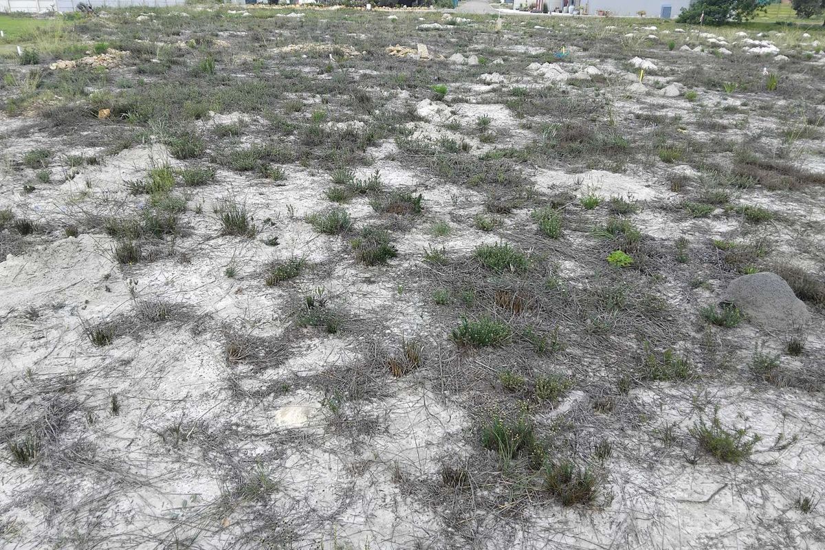 Vacant Land Residential For Sale in Albertinia Central - Photo 2