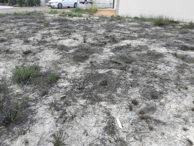 Vacant Land Residential For Sale in Albertinia Central - Photo 3