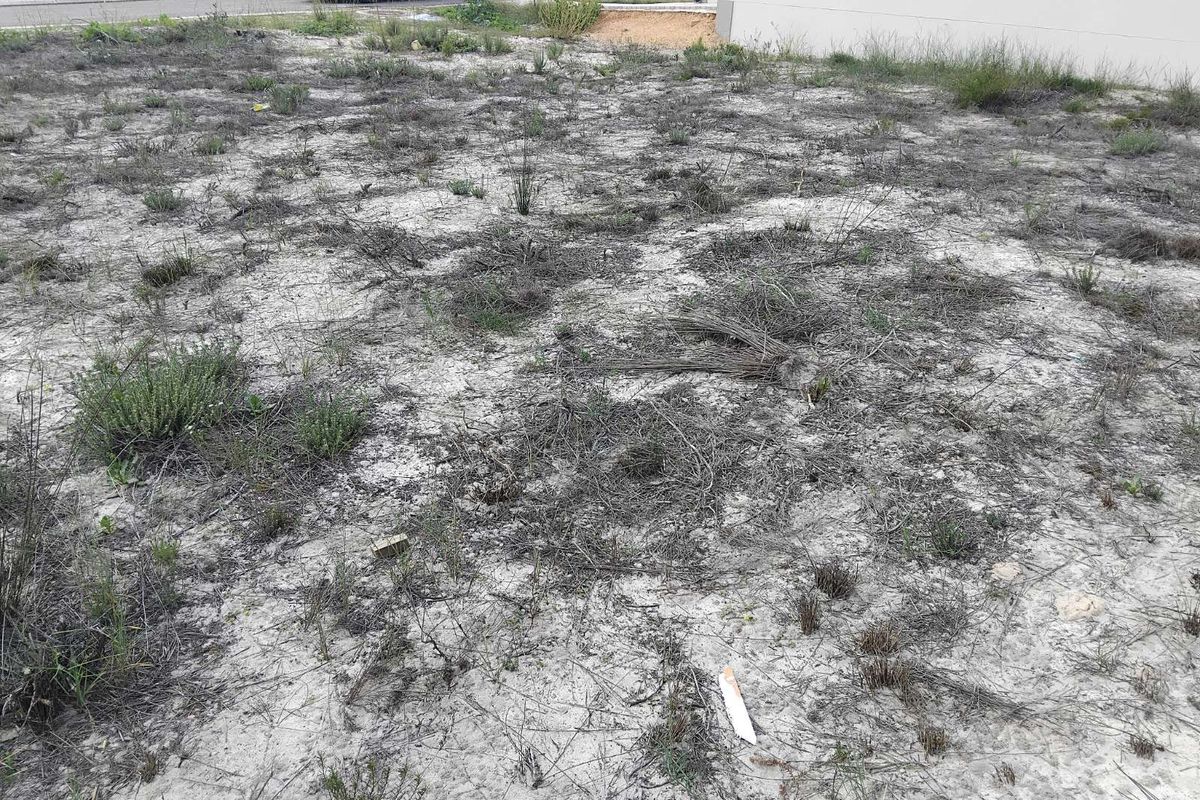 Vacant Land Residential For Sale in Albertinia Central - Photo 3