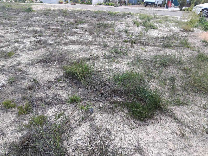 Vacant Land Residential For Sale in Albertinia Central - Photo 2