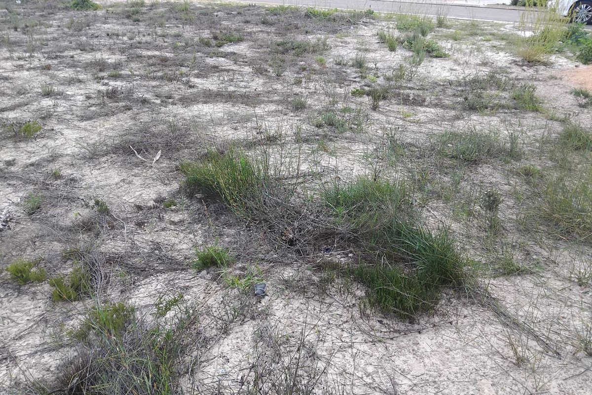 Vacant Land Residential For Sale in Albertinia Central - Photo 2