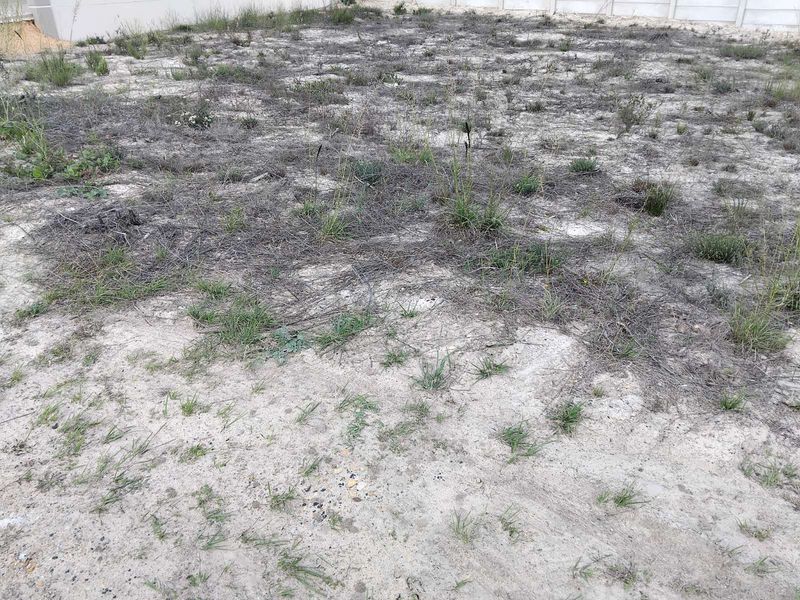 Vacant Land Residential For Sale in Albertinia Central - Photo 4
