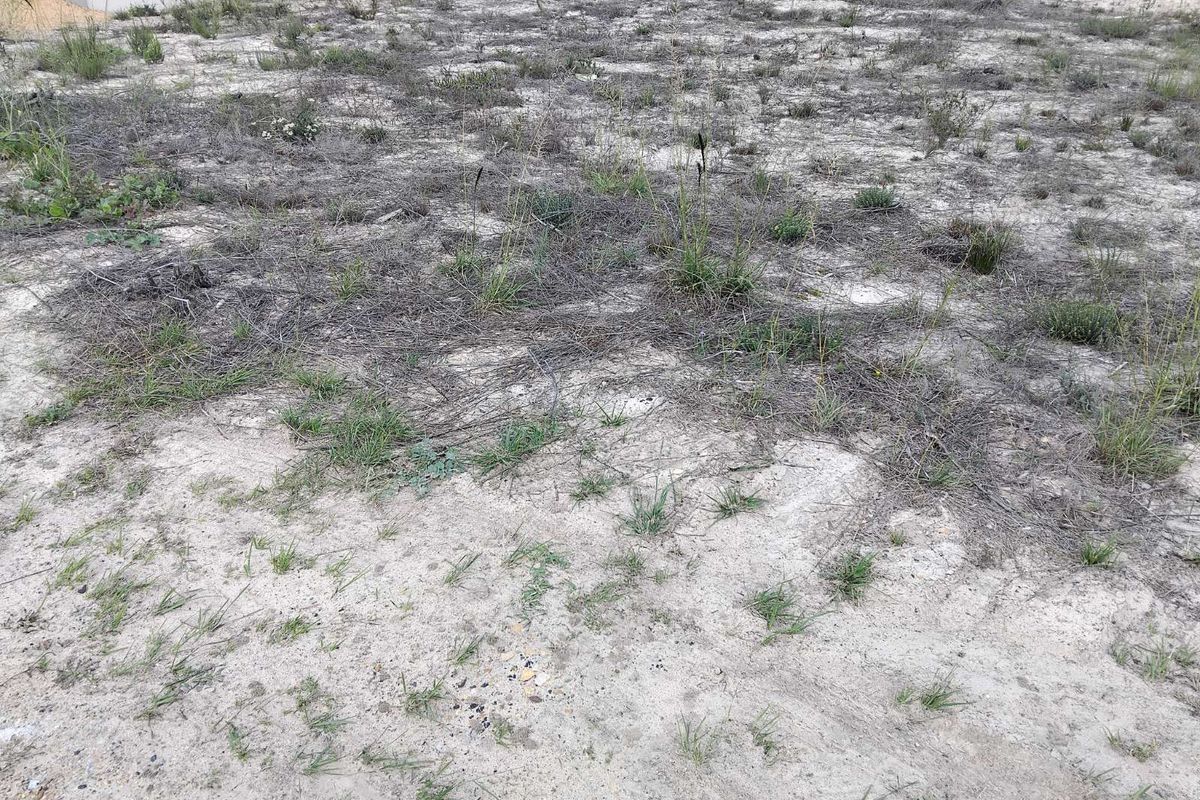 Vacant Land Residential For Sale in Albertinia Central - Photo 4