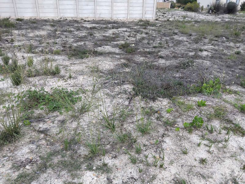 Vacant Land Residential For Sale in Albertinia Central - Photo 1