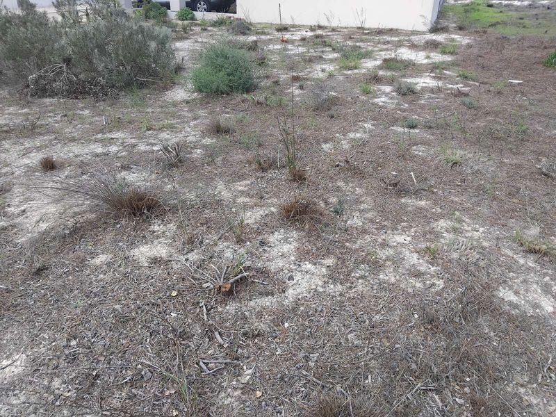 Vacant Land Residential For Sale in Albertinia Central - Photo 2