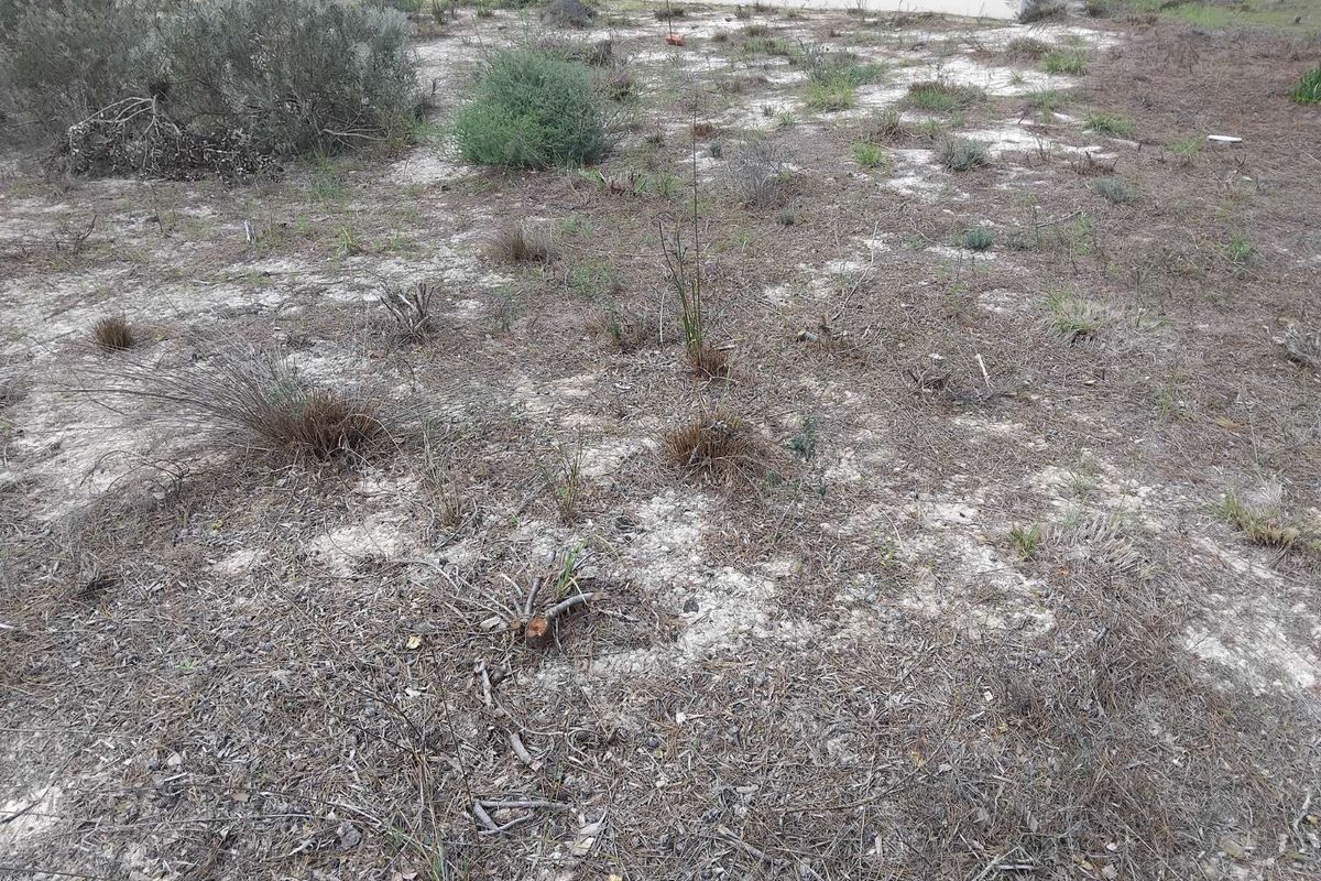 Vacant Land Residential For Sale in Albertinia Central - Photo 2