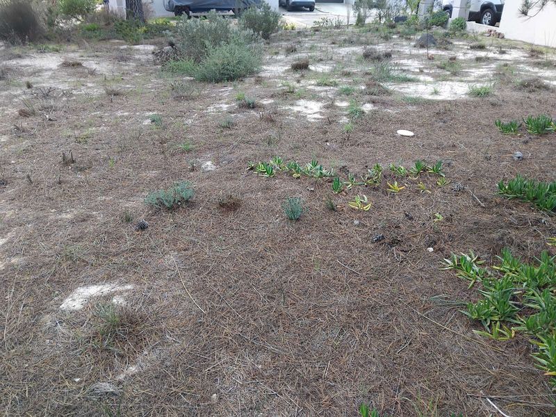 Vacant Land Residential For Sale in Albertinia Central - Photo 1
